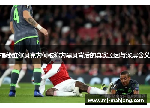 揭秘维尔贝克为何被称为黑贝背后的真实原因与深层含义