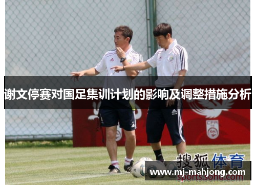 谢文停赛对国足集训计划的影响及调整措施分析